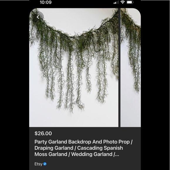 🌍5 lbs. real Air Plants OrganicReal  Live Spanish Moss Extra Long Rare C… - Picture 16 of 17